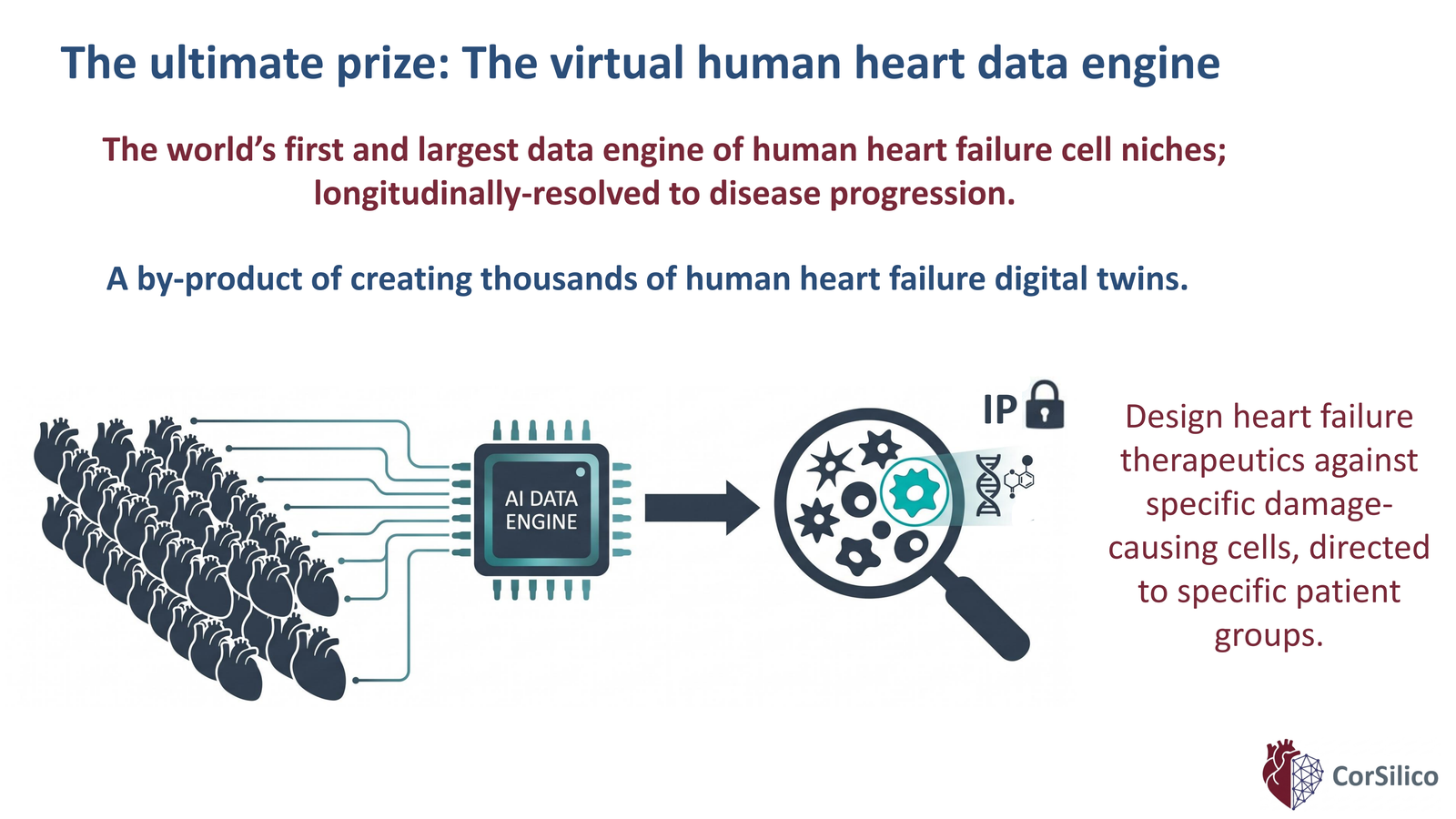 Slide 6 of 14: The virtual human heart data engine